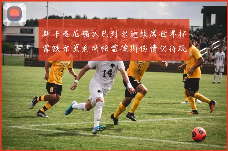 斯卡洛尼确认巴列尔迪缺席世界杯蒙铁尔莫利纳帕雷德斯伤情仍待观察