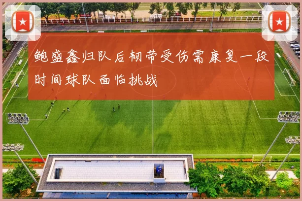 鲍盛鑫归队后韧带受伤需康复一段时间球队面临挑战