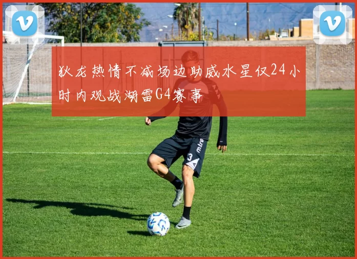 狄龙热情不减场边助威水星仅24小时内观战湖雷G4赛事