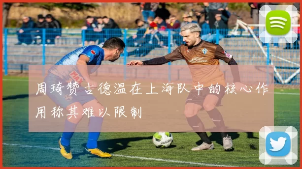 周琦赞古德温在上海队中的核心作用称其难以限制